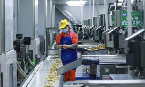 梁平 打造中国西部预制菜之都