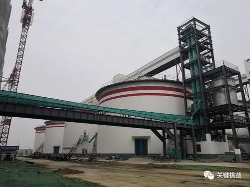 以南阳大宗农产品加工业高质量发展助推乡村振兴