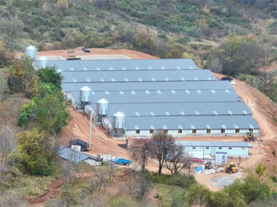 天水市清水县草川铺镇:聚力“五个聚焦” 助力村集体经济发展提质增效