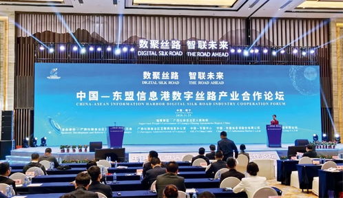 推动 数字丝绸之路 发展 构建全球数字合作新格局