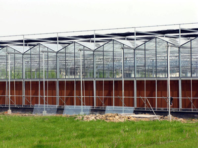 潍坊蔬菜大棚建设_潍坊大棚建设_潍坊蔬菜大棚_[厂家、价格]