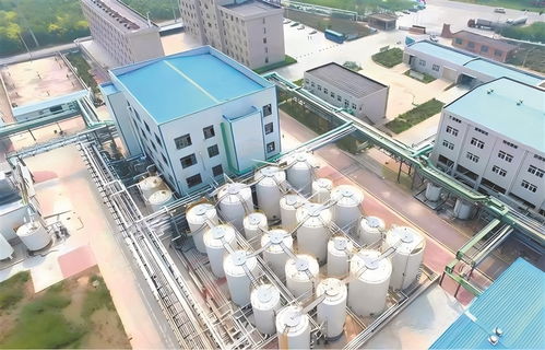 高青 以工业技改驱动引擎，加速企业转型升级与高质量发展