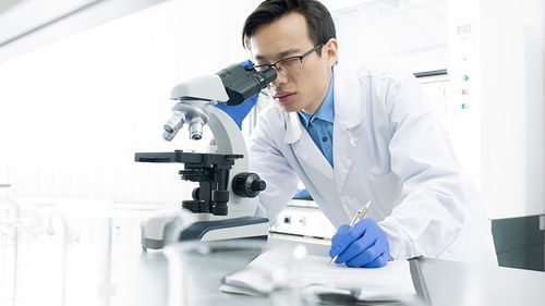 玩具检测认证 构筑安全防线，驱动行业高质量发展